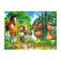 Ravensburger Puzzle Versammlung