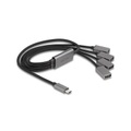 DeLock USB Hub 2 0 4x A Type C 60 cm Schnittstellenkarte ? Div Karten