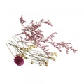 undefined, Mini Trockenblumen zartrosa & weiss