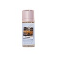 Makeup Revolution - Make-Up Fixierspray - Makeup Revolution X Friends - Mini Setting Spray Phoebe (FI062FPE)