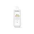 Goldwell, Goldwell Dualsenses Rich Repair Restoring Shampoo 1000ml