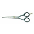 Jaguar, Jaguar HS Schere 5" 82050 Pre Style Ergo