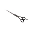 undefined, Jaguar HS Lumen 6,0