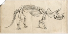 Artland Wandbild »Dinosauria Lehre II«