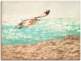 Artland Wandbild »Der Flug der Möwe«