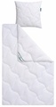 f.a.n. Schlafkomfort Microfaserbettdecke »Wellness für die Haut«, normal, Bezug 100% Polyester, (1 St.), antibakterielle Bettdecke, 135x200 oder 155x220 cm, Sommer oder Winter