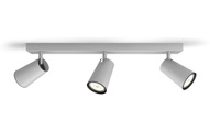 Philips, Philips Deckenspot