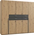 Wimex - Kleiderschrank Denver - Braun und Dunkelgrau