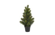 Botanic Haus - Botanic-Haus - Weihnachtsbaum Tannenbaum im Topf, 41 cm