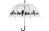 Le monde du parapluie, Le Monde Du Parapluie - Stockregenschirm Bird - Transparent und Schwarz
