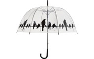 Le Monde Du Parapluie - Stockregenschirm Bird - Transparent und Schwarz