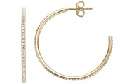Esprit Cystal Ohrschmuck Damen