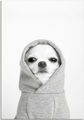 MySpotti Alu-Dibond-Druck »Artfix Pacco«, Hunde, inkl. 3D-Magic Befestigungsset