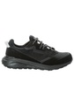 Jack Wolfskin Wanderschuh »DROMOVENTURE LOW W«