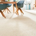 Andiamo Teppichboden »Velours Sophie«, rechteckig, Uni Farben, Breite 400 cm oder 500 cm, strapazierfähig & pflegeleicht