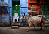 Papermoon Fototapete »Photo-Art FADHEL ALMUTAGHAWI, INDIEN«, Vliestapete, hochwertiger Digitaldruck, inklusive Kleister