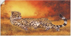 Artland Wandbild »Gepard«, Geparden Bilder, (1 St.), in vielen Grössen & Produktarten - Alubild / Outdoorbild für den Aussenbereich, Leinwandbild, Poster, Wandaufkleber / Wandtattoo auch für Badezimmer geeignet