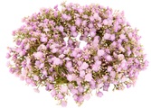 IGEA, I.GE.A. Kunstkranz »Schleierkraut«, (1 St.), Kerzenkranz Tischkranz Tischdeko Wanddeko Türdeko Hochzeitsdeko Kunstblumen Pflanze Gypsophila Blumen für Hochzeit Brautsträusse Dekoration Basteln