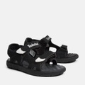 TIMBERLAND, Timberland Perkins Reihe TB0A1QXQ001 Universal Kinderschuhe schwarz 1 Kid UK / 1.5 US / 33 EUR / 20.5 cm