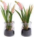 Botanic-Haus Kunstblume »Muscariarrangement im Glas«, (Set, 2 St.)
