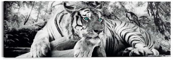 undefined, Wandbild »Tigerblick Wandbild Tiger - Raubtier - Wandbild Wohnzimmer - Wandbild«