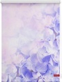 Seitenzugrollo, Lichtblick, »Hortensie«, Klemmfix, Kettenzug, Lichtschutz, Fixmass, ohne Bohren
