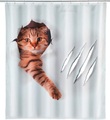Duschvorhang Katze braun-weiss