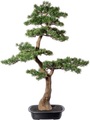 Creativ green Kunstbonsai »Bonsai Lärche«, (1 St.), im dekorativen Topf