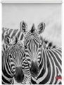 LICHTBLICK Seitenzugrollo »Rollo Klemmfix, ohne Bohren, Verdunkelung, Zebra - Schwarz Weiss«, verdunkelnd, Verdunkelung, freihängend