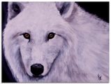 Artland Glasbild »Weisser Wolf«