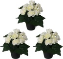 Creativ green Kunstpflanze »Begonie«, (3 St.), im 3er Set
