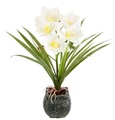 MY HOME, my home Kunstblume »Orchidee«, Mit Blätter im Topf aus Zement Künstliche Blume Cymbidium-Orchidee