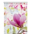 Seitenzugrollo, Lichtblick, »Magnolie«, Klemmfix, Kettenzug, Lichtschutz, Fixmass, ohne Bohren