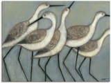 Artland Wandbild »Küstenvögel II«