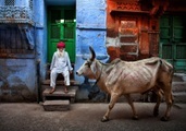 Papermoon Fototapete »Photo-Art FADHEL ALMUTAGHAWI, INDIEN«, Vliestapete, hochwertiger Digitaldruck, inklusive Kleister