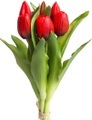 DELAVITA Kunstblume »Willa«, (Set, 7 St.), Tulpenbündel im 7er-Set
