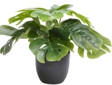Botanic-Haus Künstliche Zimmerpflanze »Monstera«