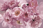 Papermoon Fototapete »BLUMEN ABSTRAKT-MUSTER DESIGN ROSEN BLUMEN DECOR RETRO«, Vliestapete, hochwertiger Digitaldruck, inklusive Kleister