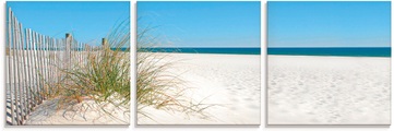Artland Glasbild »Schöne Sanddüne mit Gräsern und Zaun«