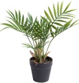 Botanic-Haus Künstliche Zimmerpflanze »Chamaedorea Palme«, (1 St.)