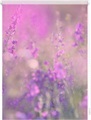 LICHTBLICK ORIGINAL Seitenzugrollo »Klemmfix Motiv Blumenwiese«, Lichtschutz, ohne Bohren, freihängend