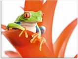 Artland Glasbild »Frosch auf seinem Thron«
