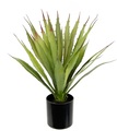 IGEA, I.GE.A. Kunstpflanze »Künstliche Agave Aloe Vera im Topf Kunstpflanze«, (1 St.), Kaktus Kakteen