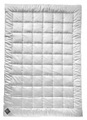 Billerbeck 4-Saison-Doppel-Synthetikduvet 240X240Cm