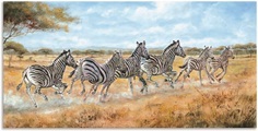 Artland Wandbild »Laufende Zebras«