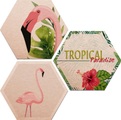 Alu-Dibond-Druck »Flamingo 03« (Set)
