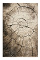 WECON HOME, Teppich, »Wild Oak«, Wecon Home, rechteckig, Höhe 13 mm