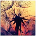 Artland Glasbild »Pusteblume im Sonnenuntergang«