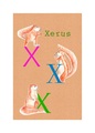 Komar Poster »ABC Animal X«