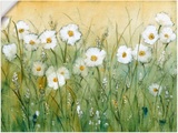 Artland Wandbild »Gänseblümchenfrühling II«